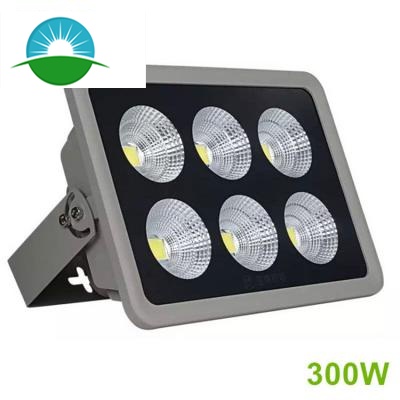 300-800W high power COB LED flood light